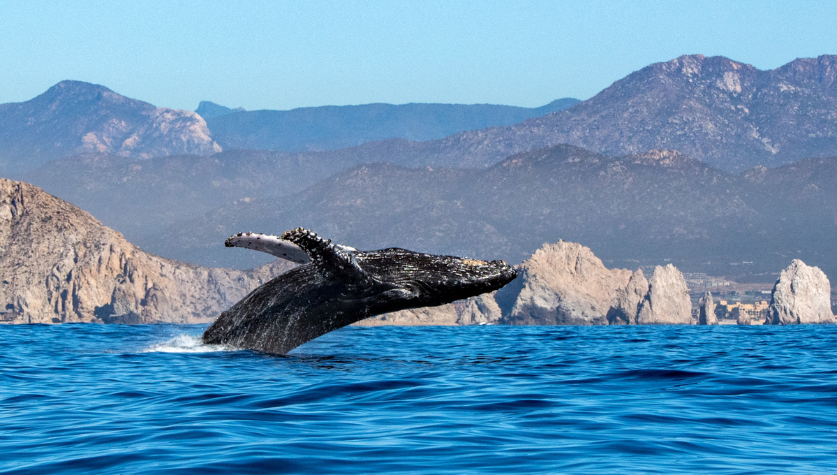 10 Most Awesome Wildlife Destinations Awardwinningdestinations